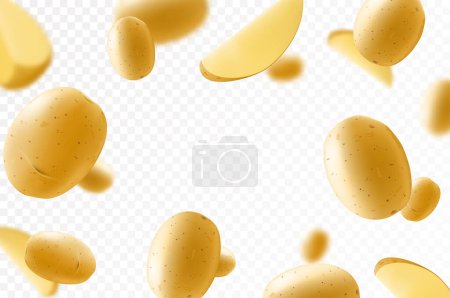 Foto de Caída de patatas crudas lavadas, verduras enteras aisladas sobre fondo transparente, enfoque selectivo. Ilustración realista del vector 3d - Imagen libre de derechos