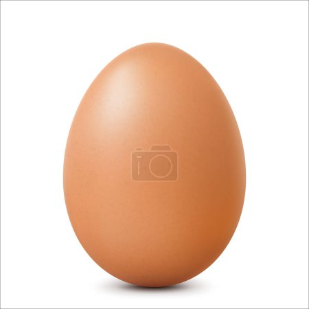 Foto de Huevo marrón de un solo animal. Huevo de pollo con sombras suaves aisladas sobre fondo blanco. Plantilla para vacaciones de Pascua. Ilustración realista de vectores 3D - Imagen libre de derechos