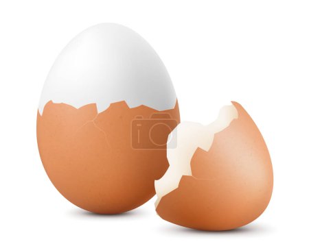 Hard boiled fresh chicken egg, isolated on white background. Half-shelled egg with egg shells. Healthy food with high protein. Template for Easter holiday. Realistic 3D vector illustration