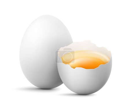 Téléchargez les photos : Œufs blancs crus, demi-œufs entiers et cassés avec un jaune isolé sur un fond blanc. Un oeuf de suçon écrasé. Une alimentation saine. Illustration vectorielle 3D réaliste - en image libre de droit