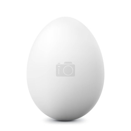 Foto de Huevo blanco de un solo animal. Huevo de pollo con sombras suaves aisladas sobre fondo blanco. Plantilla para vacaciones de Pascua. Ilustración realista de vectores 3D - Imagen libre de derechos