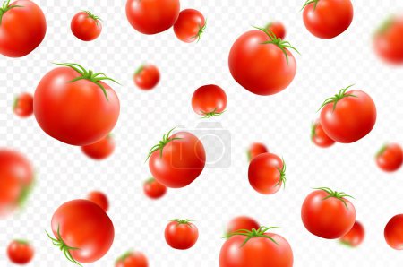 Photo for Tomato background. Falling fresh ripe tomatoes, isolated on transparent background. Selective focus. Flying defocusing red tomato. Applicable for ketchup, juice advertising. Realistic 3d vector - Royalty Free Image