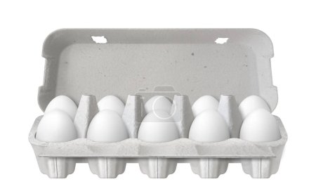 Téléchargez les photos : Boîte à œufs ouverte avec dix œufs blancs isolés sur fond blanc. Œufs de poulet biologiques frais dans un emballage en carton ou un récipient ou plateau à œufs. Illustration vectorielle 3D réaliste - en image libre de droit