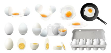 Téléchargez les photos : Ensemble d'oeufs entiers, demi-tranchés et cassés. Œufs crus, frits et cuits, isolés sur fond blanc. Casser les œufs avec des jaunes. Plateau en carton avec œufs. Œufs frits sur la poêle. Vecteur 3d réaliste. - en image libre de droit