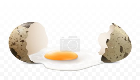Foto de Un huevo de codorniz manchado roto aislado sobre un fondo transparente. La proteína y la yema fluyeron de un primer plano de cáscaras de huevo rotas. Ilustración horizontal del huevo agrietado. Diseño realista del vector 3d - Imagen libre de derechos
