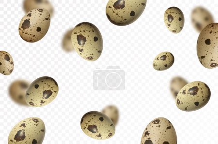 Photo for Flying quail eggs, isolated on white background. Falling spotted quail egg. Selective focus Can be used for advertising, packaging, banner, poster, print. Realistic 3d vector - Royalty Free Image
