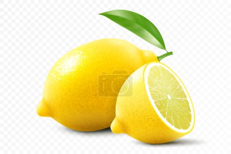 Illustration for Fresh lemon isolated on transparent background. A whole lemon and half a lemon. Realistic 3d vector illustration. Fully editable handmade mesh. - Royalty Free Image
