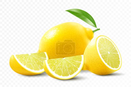 Illustration for Fresh lemon isolated on transparent background. A whole lemon, half and slice a lemon. Realistic 3d vector illustration. Fully editable handmade mesh. - Royalty Free Image