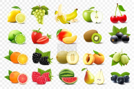 Ilustración de Conjunto realista de varios tipos de frutas con naranja, kiwi, pera, limón, uvas, fresas, grosellas, melocotón, lima, pomelo, appl?, aislado sobre fondo transparente, ilustración vectorial 3d - Imagen libre de derechos