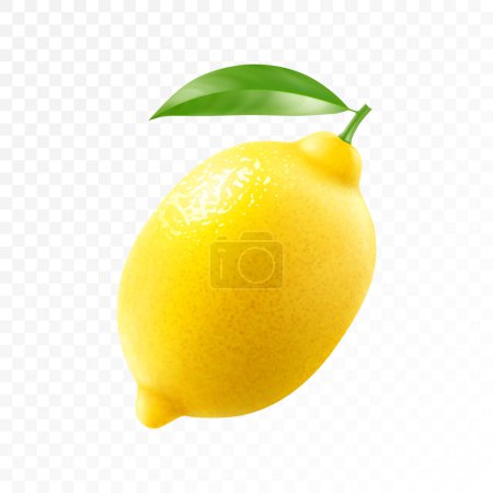 Illustration for Fresh lemon with green leaf isolated on transparent background. Realistic 3d vector illustration. Fully editable handmade mesh. - Royalty Free Image