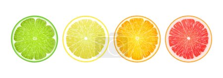 Ilustración de Conjunto de jugosas rodajas de cítricos. Ilustración realista del vector 3d. Conjunto de iconos de limón, naranja, pomelo y lima. Elementos aislados de colores brillantes sobre fondo blanco. Para diseños creativos, logotipos, pegatinas - Imagen libre de derechos