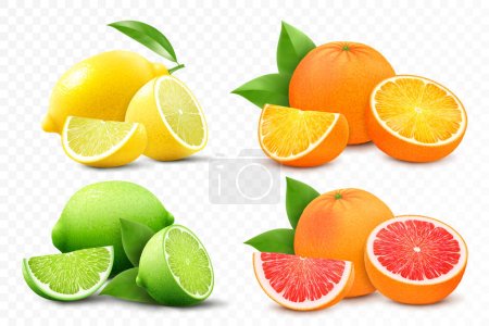 Conjunto de cítricos limón, mandarina, lima, naranja, pomelo entero, mitad cortada y rodajas. Cítricos agrios frescos con vitaminas. Ilustración realista del vector 3d aislada sobre fondo blanco