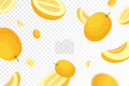 Illustration for Falling melon, isolated on transparent background. Flying whole and sliced melon fruits with blurry effect. Can be used for advertising, packaging, banner, poster, print. Vector flat design - Royalty Free Image