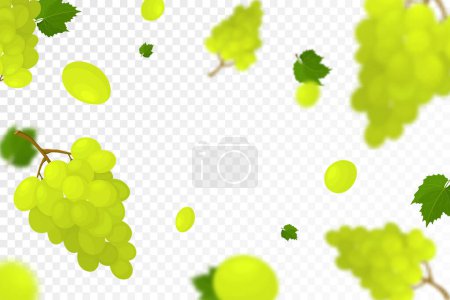 Illustration for Falling juicy ripe grape with green leaves isolated on transparent background. Flying bunches of grapes with defocused blur effect. Can be used for wallpaper, banner, poster, print. Vector flat design - Royalty Free Image
