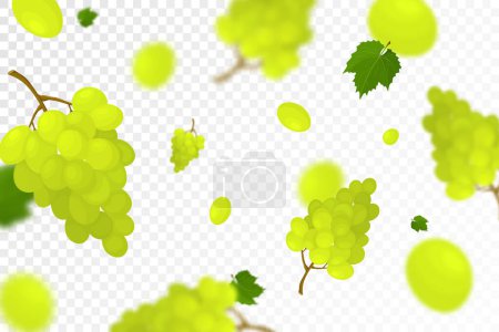Illustration for Falling juicy ripe grape with green leaves isolated on transparent background. Flying bunches of grapes with defocused blur effect. Can be used for wallpaper, banner, poster, print. Vector flat design - Royalty Free Image