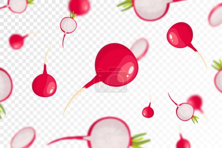 Illustration for Radish background. Flying or falling fresh radish isolated on transparent background. Can be used for advertising, packaging, banner, poster, print. Flat design. Nature product. Vector illustration - Royalty Free Image