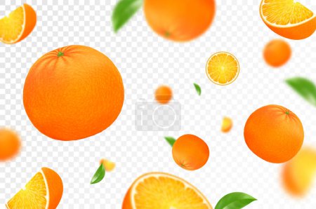Illustration for Orange citrus background. Flying orange with green leaf on transparent background. Orange falling from different angles. Focused and blurry objects. Realistic 3d vector illustration - Royalty Free Image