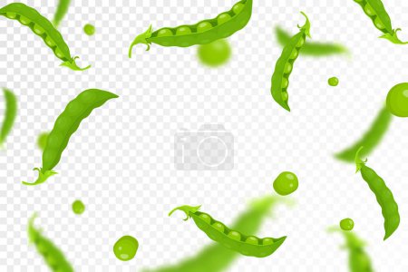 Illustration for Green pea background. Flying or falling fresh green pea isolated on transparent background. Can be used for advertising, packaging, banner, poster, print. Flat design. Vector illustration - Royalty Free Image