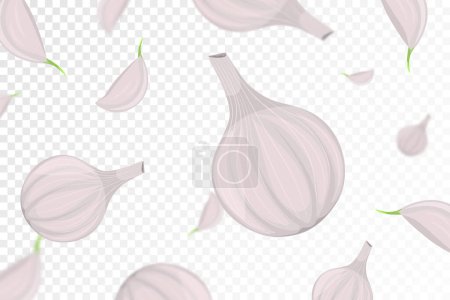 Illustration for Falling garlic isolated on transparent background. Flying whole and garlic clove with blurry effect. Can be used for advertising, packaging, banner, poster, print. vector flat design - Royalty Free Image