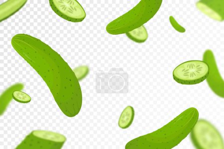 Illustration for Falling cucumbers isolated on transparent background. Flying whole and sliced cucumbers vegetable with blurry effect. Can be used for advertising, packaging, banner, poster, print. vector flat design - Royalty Free Image