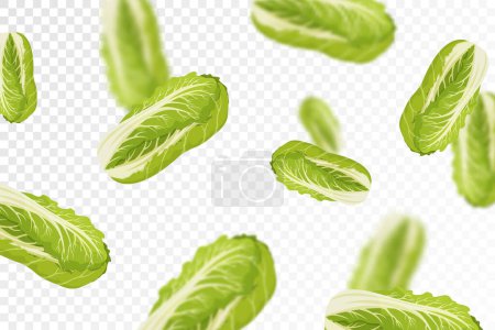 Téléchargez les illustrations : Chinese cabbage background. Flying or falling fresh cabbage isolated on transparent background. Can be used for advertising, packaging, banner, poster, print. Flat design. Vector illustration - en licence libre de droit