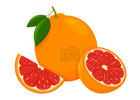 Téléchargez les illustrations : Icon Grapefruit. Set with whole fruit, slice and a half, with leaves. Isolated vector illustration in a flat style. - en licence libre de droit