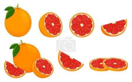 Ilustración de Icon Grapefruit. Set with whole fruit, slice and a half, with leaves. Isolated vector illustration in a flat style. - Imagen libre de derechos