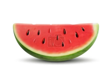 Téléchargez les illustrations : Slice of watermelon. Vector 3d realistic ripe fresh fruit watermelon piece isolated on white background. Illustration of juicy red watermelon slice with pits - en licence libre de droit