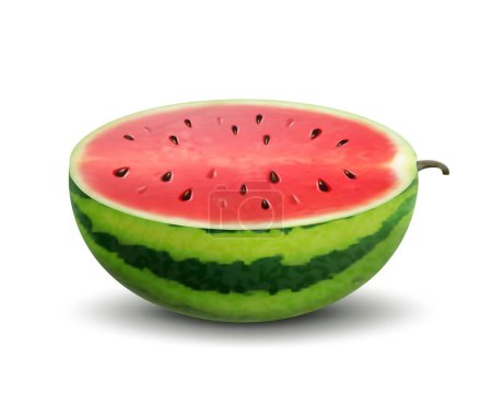 Illustration for Half Watermelon with seeds isolated on white background. Fresh watermelon fruit design element for summer time. Fresh cut and sliced watermelon. Juicy fruit. Realistic 3d vector - Royalty Free Image