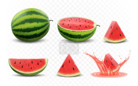 Téléchargez les illustrations : Set of fresh whole, half, cut slice and piece of watermelon isolated on white background. Vegan food vector icons in a trendy realistic 3d style. Healthy food concept. - en licence libre de droit