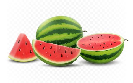 Téléchargez les illustrations : Set of fresh whole, half, cut slice and piece of watermelon isolated on white background. Vegan food vector icons in a trendy realistic 3d style. Healthy food concept. - en licence libre de droit