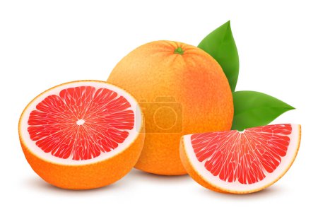 Fresh grapefruit set, with various view of whole grapefruit, halves and slices, isolated on white background. Realistic 3d vector illustration