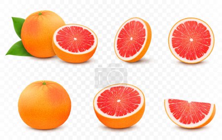 Ilustración de Set of fresh juicy grapefruit with leaves. Half, slice, and whole of citrus fruit, isolated on transparent background. Summer fruits for healthy lifestyle. Realistic 3d vector illustration - Imagen libre de derechos