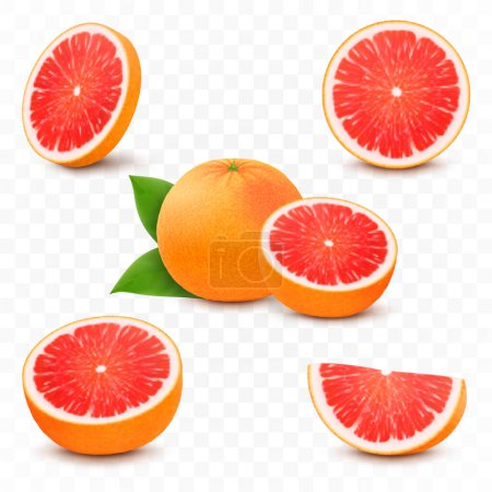 Illustration for Set of fresh juicy grapefruit with leaves. Half, slice, and whole of citrus fruit, isolated on transparent background. Summer fruits for healthy lifestyle. Realistic 3d vector illustration - Royalty Free Image
