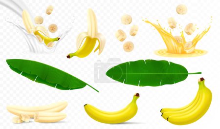 Ilustración de Set of banana fruits, bunch of bananas, peel, peeled banana, slices and halves, leaves from a banana palm, splash of banana in milk or juice. Realistic 3d vector illustration, isolated - Imagen libre de derechos