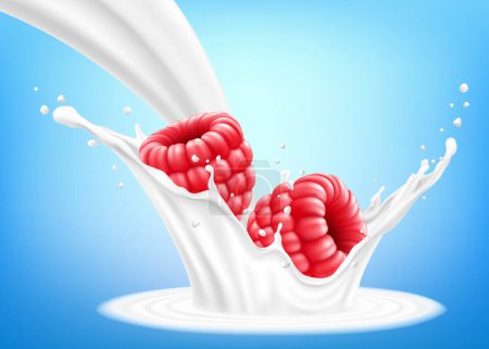 Illustration for Fresh raspberry in a splash of milk or yogurt. Fresh berry falls into the milk. 3d realistic vector illustration, isolated on blue background. Sweet food. Organic fruit. - Royalty Free Image