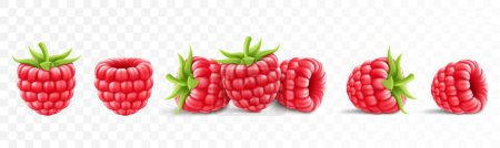 Téléchargez les illustrations : Collection of ripe raspberries isolated on background. Natural summer fruit, realistic 3d vector illustration. Ingredient for juices, jams, yogurts, compotes. Mockup for package - en licence libre de droit