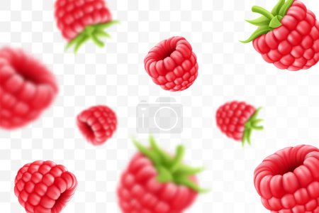 Téléchargez les illustrations : Raspberry background. Flying raspberry with green leaf on transparent background. Raspberry falling from different angles.Focused and blurry objects. 3D realistic vector. - en licence libre de droit
