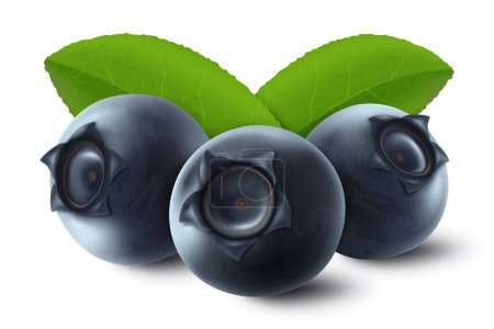 Ilustración de Vector 3d realistic raw blueberry with green leaves, isolated on white background. Ripe berries full of nutritions and vitamins, juicy fresh cooking ingredient. - Imagen libre de derechos