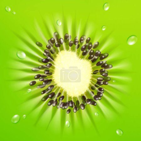 Realistischer 3D Kiwi Hintergrund. Kiwi-Früchte in Nahaufnahme in einem Schnitt mit Wassertropfen. Hintergrundgestaltung in Grüntönen. Es wird als Stoffmuster verwendet. T-Shirt-Design. Vektor