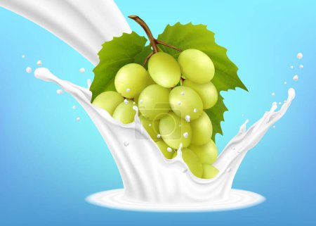 Illustration for Green grape branch in a milk splash on a blue background. Realistic 3d Vector illustration. Design element. Packaging. - Royalty Free Image