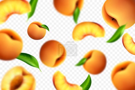 Téléchargez les illustrations : Flying peaches on white background. Vector 3d realistic illustration with blur effect - en licence libre de droit