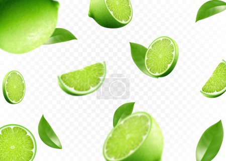 Illustration for Flying fresh limes and lime slices with leaves. with blur effect. Vector 3d realistic illustration isolated on white background. - Royalty Free Image