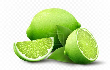 Illustration for Fresh lime set, with various view of whole lime fruit, halves and slices, isolated on transparent background. Realistic 3d vector illustration - Royalty Free Image