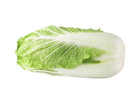 Photo for One whole chinese cabbage on a white background - Royalty Free Image
