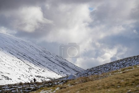 Photo for Welsh mountain winter landscape. Snow on the top of the mountains above Storey Arms in the Brecon Beacons.  Icy conditions but the sun is shining and has melted the snow of the foothills. - Royalty Free Image
