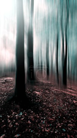 Téléchargez les photos : Editer la forêt pour créer une sensation éthérée et mystique à une scène de forêt d'automne. - en image libre de droit