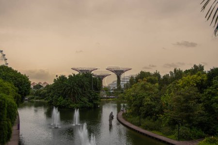 Téléchargez les photos : Singapour, Singapour 30 août 2022, La vue sur le Supertree Grove et le Flowerdome depuis le pont sur le lac des libellules". - en image libre de droit