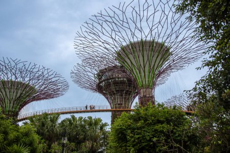 Foto de Singapur, Singapur 30 de agosto de 2022, The 128 meter OCBC Skyway and Supertree Grove - Imagen libre de derechos