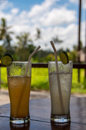 Foto de Dos vasos con limonada casera helada - Imagen libre de derechos